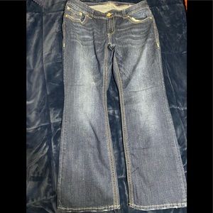 Melissa McCarthy Seven7 Jeans